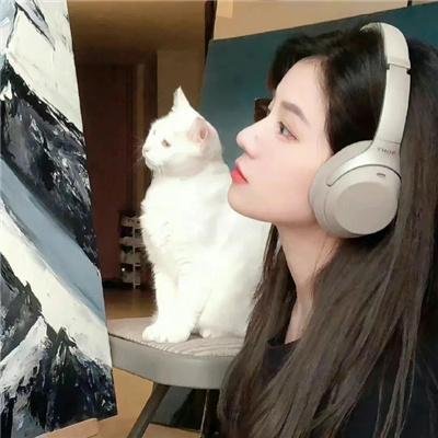 贪婪四重奏